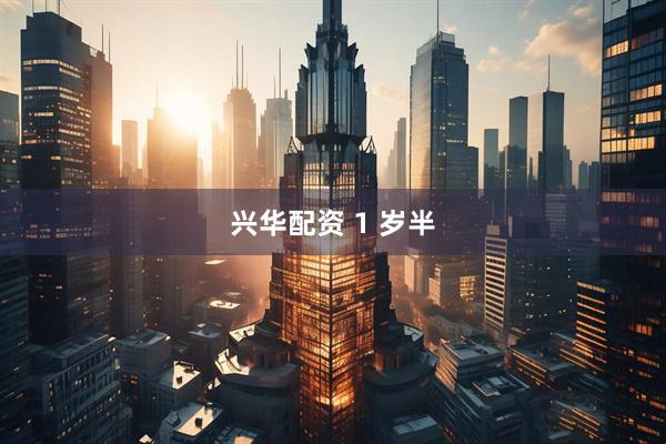 兴华配资 1 岁半