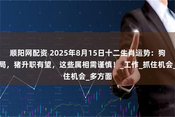 顺阳网配资 2025年8月15日十二生肖运势：狗事业破局，猪升职有望，这些属相需谨慎！_工作_抓住机会_多方面